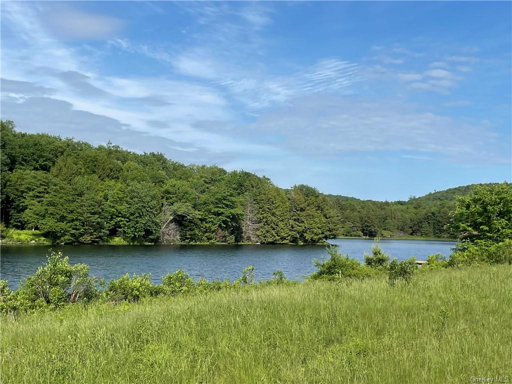 Land Tanzman  Sullivan, NY 12768, MLS-H6123698-7