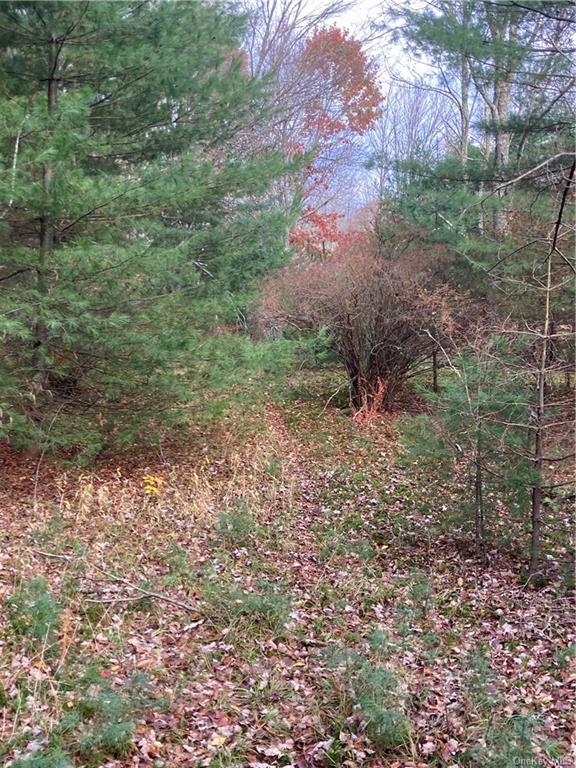 Land Plank  Sullivan, NY 12762, MLS-H6274706-7