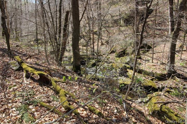 Land Cattail  Sullivan, NY 12758, MLS-H6244708-7