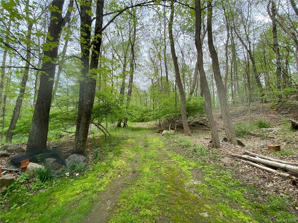 Land Spring Valley  Westchester, NY 10562, MLS-H6249717-7