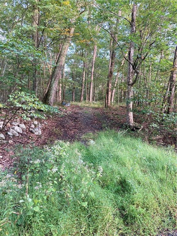 Land Route 52  Ulster, NY 12489, MLS-H6271730-7