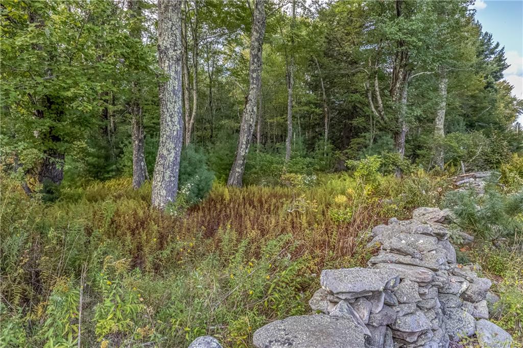 Land Brown  Ulster, NY 12489, MLS-H6211737-7