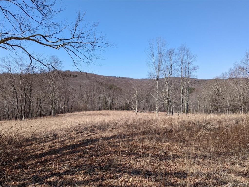 Land 0 Buck Brook Rd Tr10  Sullivan, NY 12736, MLS-H6172755-7