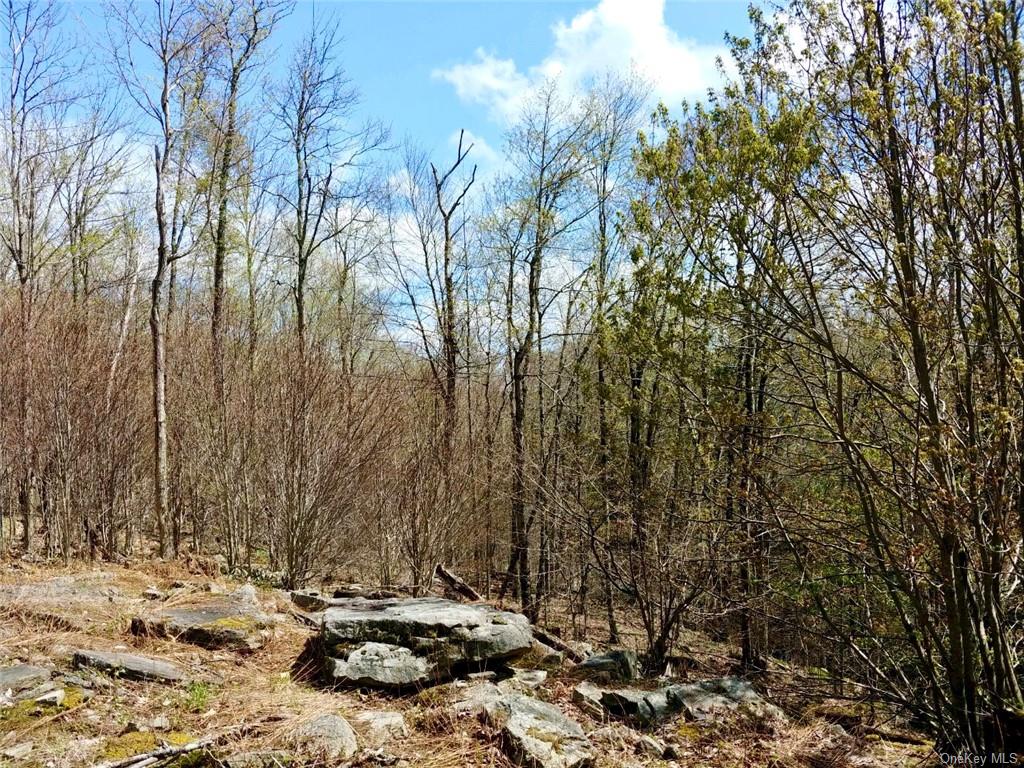 Land Shandelee  Sullivan, NY 12758, MLS-H6279768-7