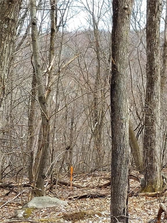 Land Grape Hollow  Dutchess, NY 12531, MLS-H6241803-7