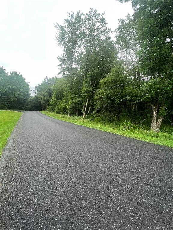 Land Big Hollow  Sullivan, NY 12765, MLS-H6256806-7