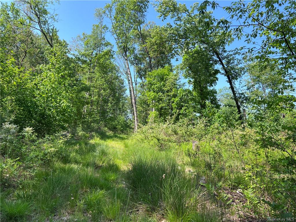 Land Gables  Sullivan, NY 12764, MLS-H6252813-7