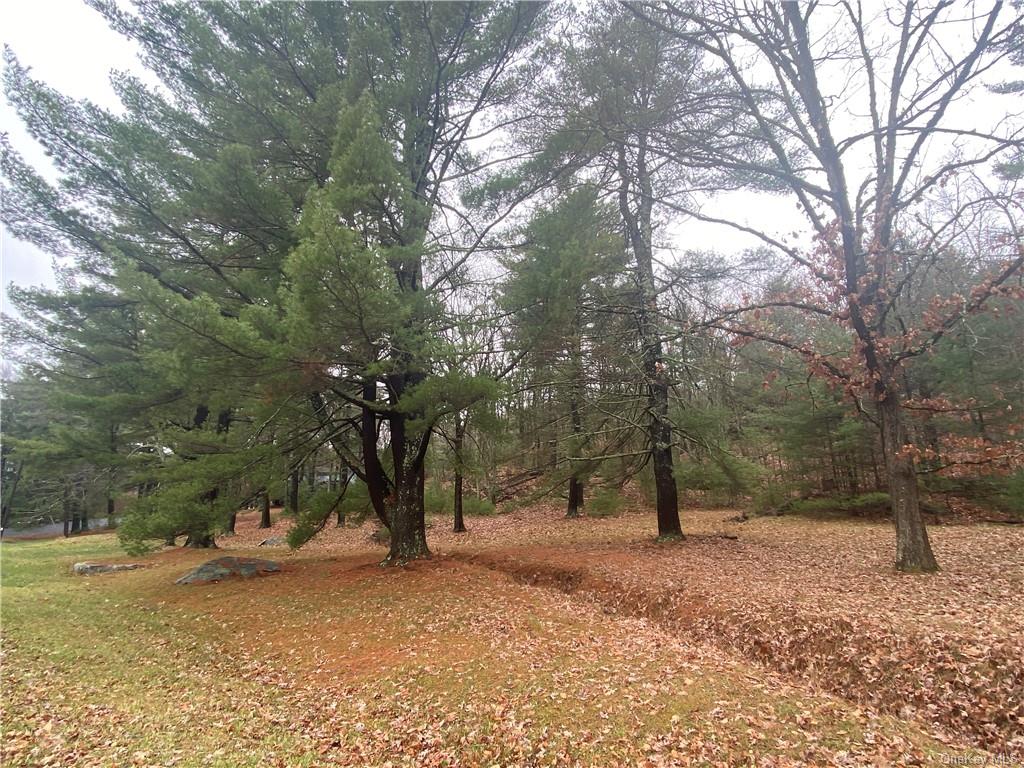 Land Diane  Ulster, NY 12428, MLS-H6223846-7