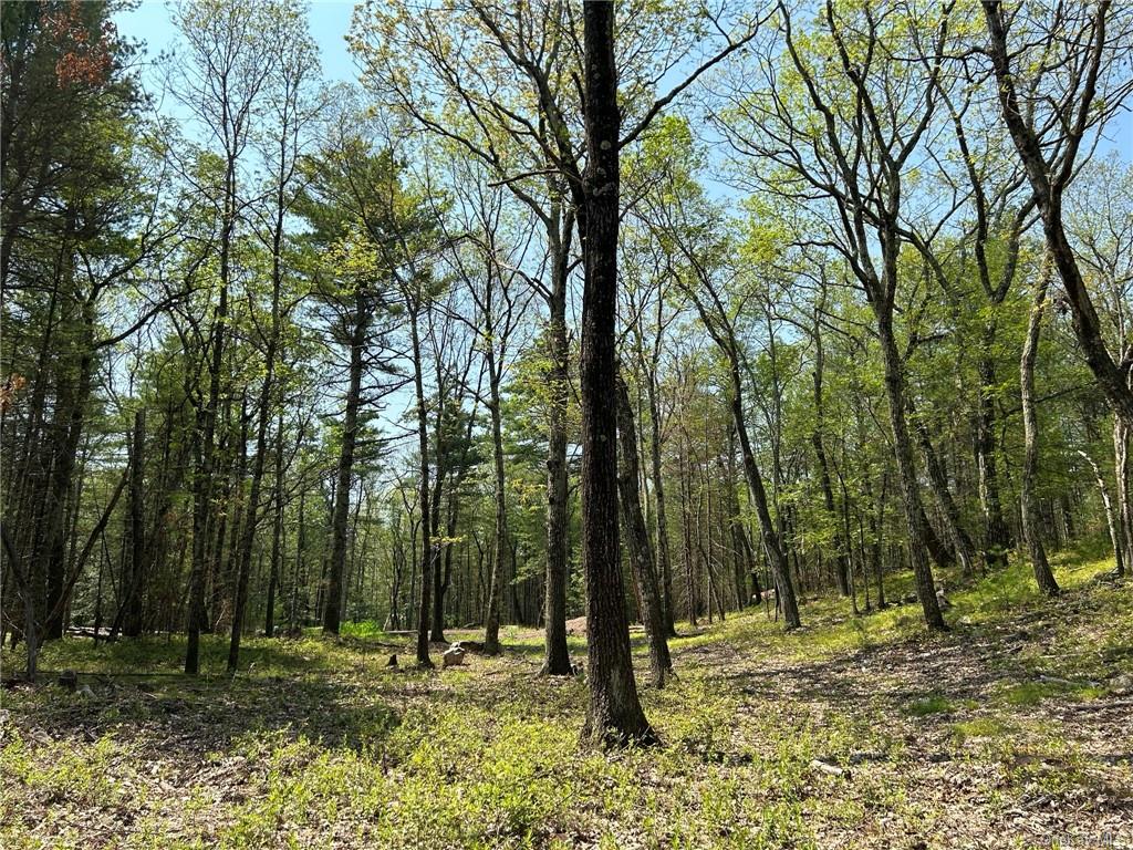 Land Clendening  Ulster, NY 12484, MLS-H6259859-7