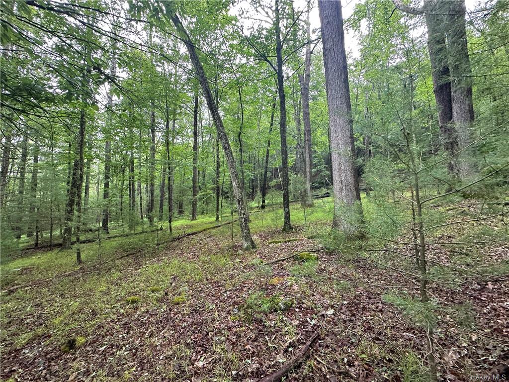 Land State Route 55  Sullivan, NY 12719, MLS-H6256862-7