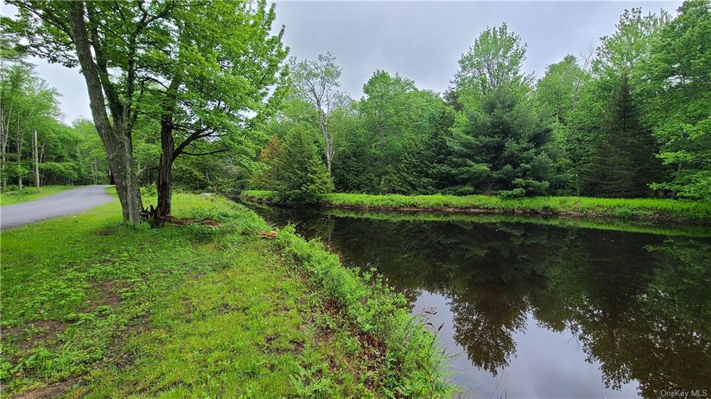 Land Dingle Daisy  Sullivan, NY 12701, MLS-H6204867-7