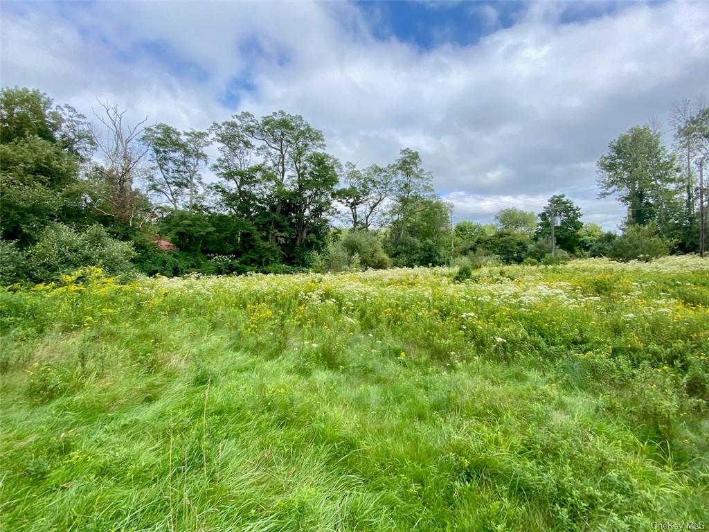 Land Moscoe  Sullivan, NY 12720, MLS-H6241893-7