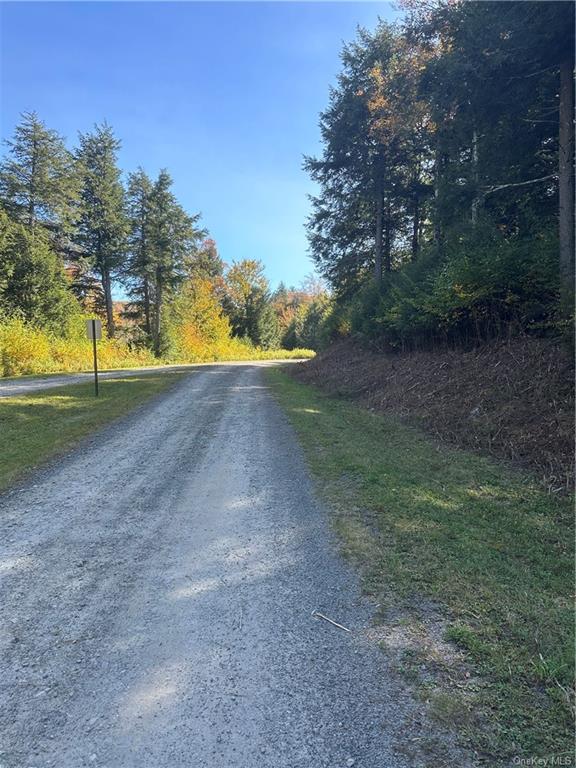 Land Eagles Ridge  Sullivan, NY 12768, MLS-H6271898-7