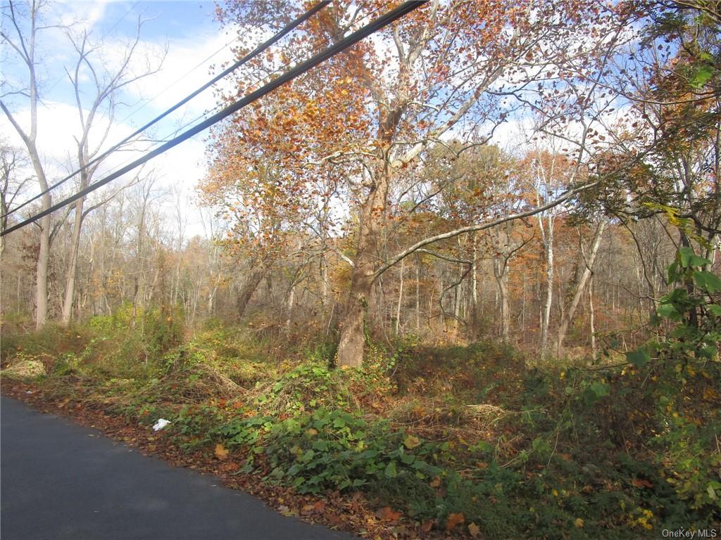 Land Foothill  Westchester, NY 10547, MLS-H6275905-7