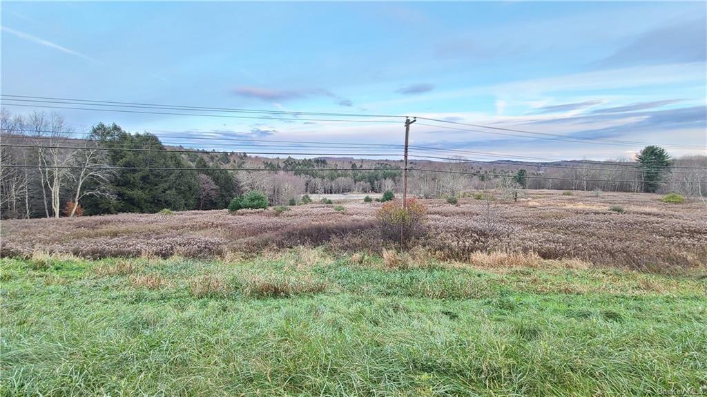 Land Old Route 17  Sullivan, NY 12734, MLS-H6254923-7