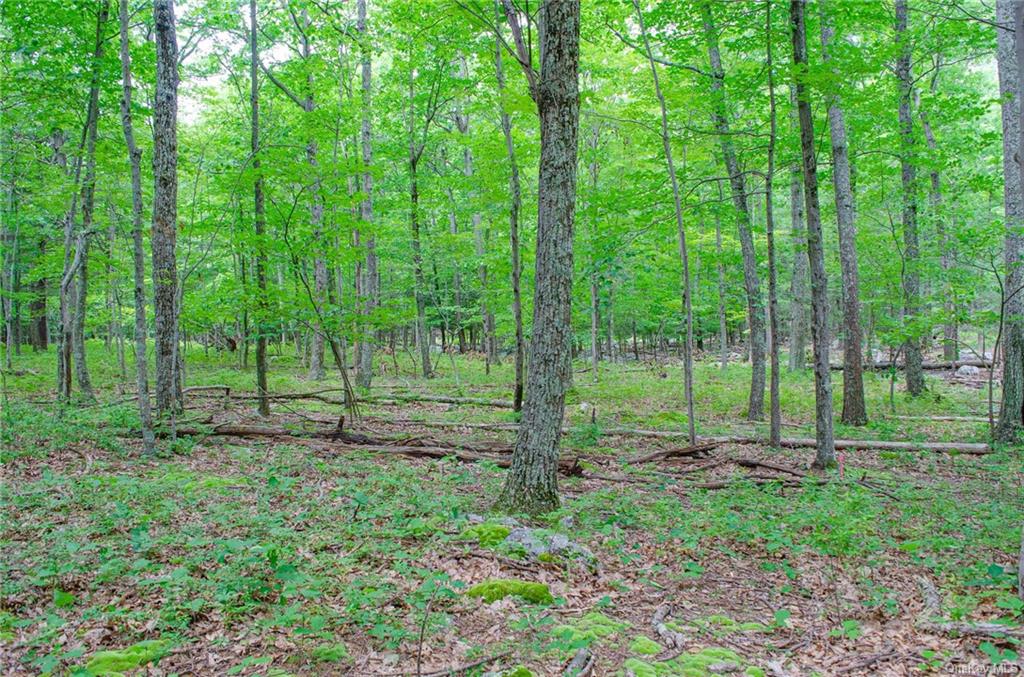 Land Mountain  Ulster, NY 12525, MLS-H6197967-7