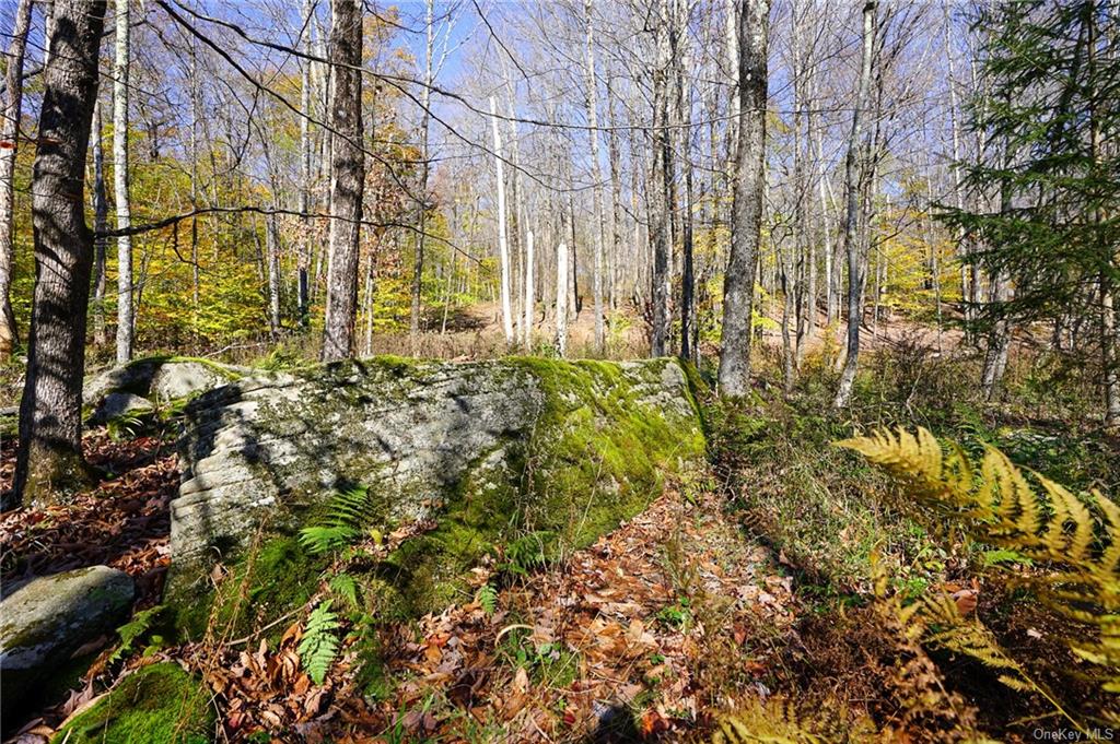 Land Amber Lake  Sullivan, NY 12758, MLS-H6150969-7