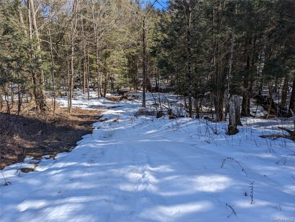 Land Likel  Sullivan, NY 12748, MLS-H6238970-7