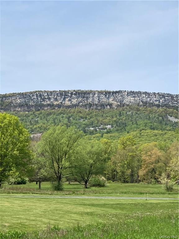 Land Mountain  Ulster, NY 12525, MLS-H6240983-7