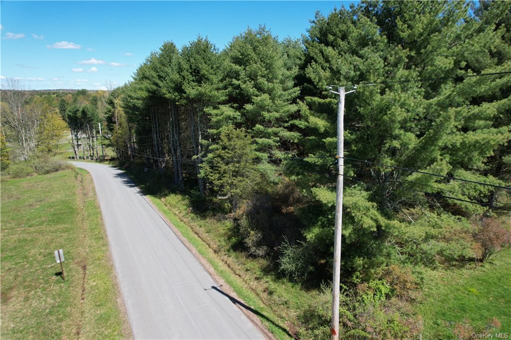 Land Royce  Sullivan, NY 12720, MLS-H6245995-7