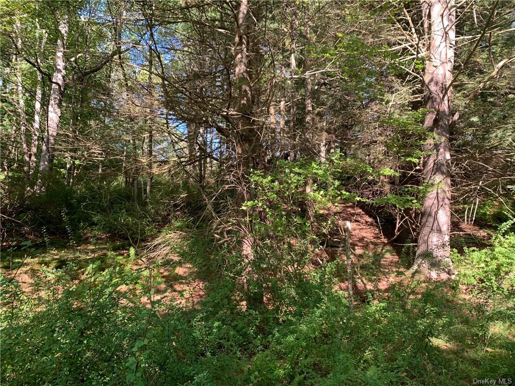 Land Lot 3 Chapin  Sullivan, NY 12786, MLS-H6278999-7