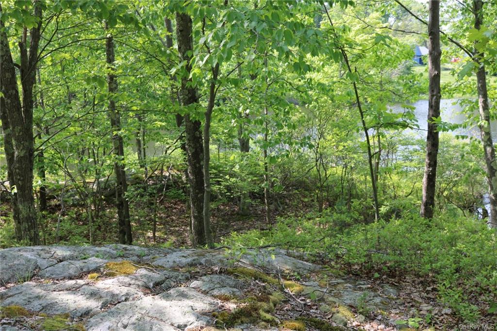 Land Gipsy Trail  Putnam, NY 10512, MLS-H6251011-8