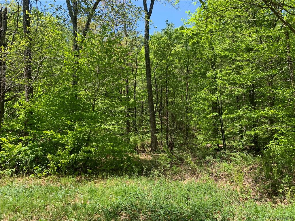 Land Bethlehem Tr12  Sullivan, NY 12736, MLS-H6250014-8