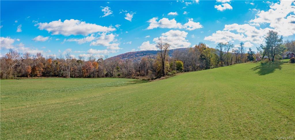 Land Cricket Hill  Dutchess, NY 12522, MLS-H6277028-8