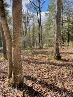 Land Bear Run  Sullivan, NY 12764, MLS-H6168030-8