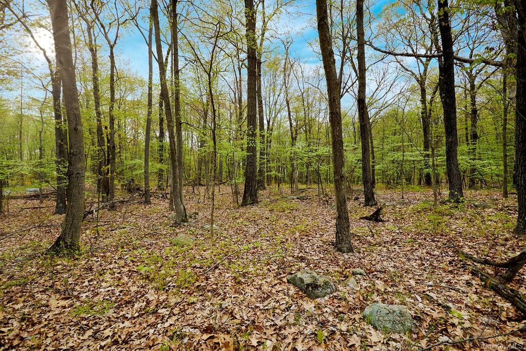 Land Springhouse  Rockland, NY 10974, MLS-H6246073-8