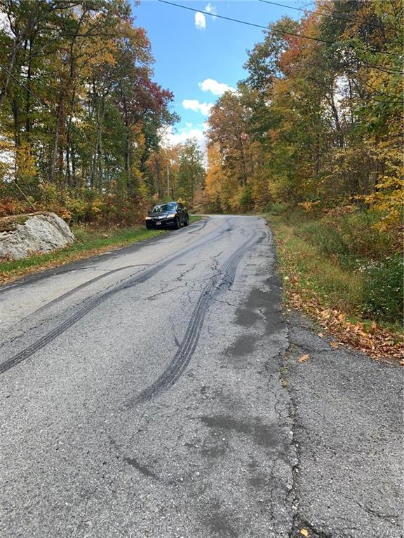 Land South  Dutchess, NY 12531, MLS-H6217102-8