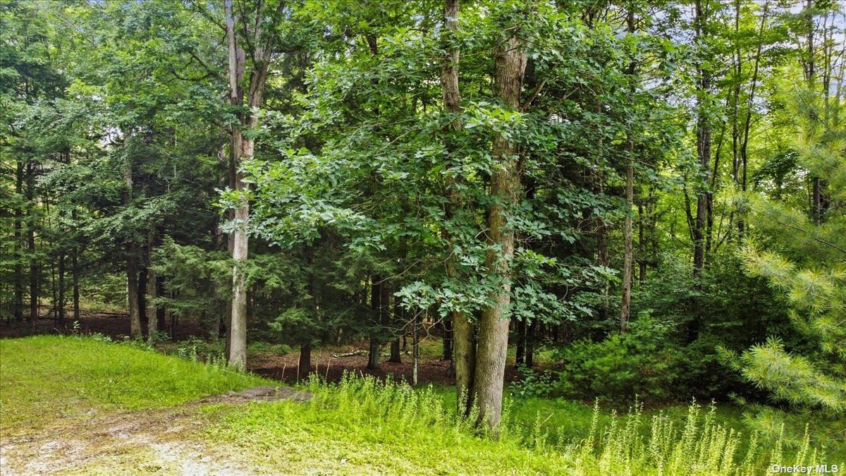 Land Longview  Out Of Area, NY 12814, MLS-3494120-8