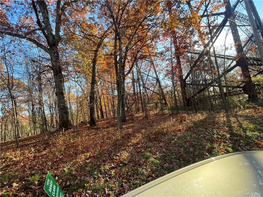 Land Orrs Mills  Orange, NY 12577, MLS-H6219128-8