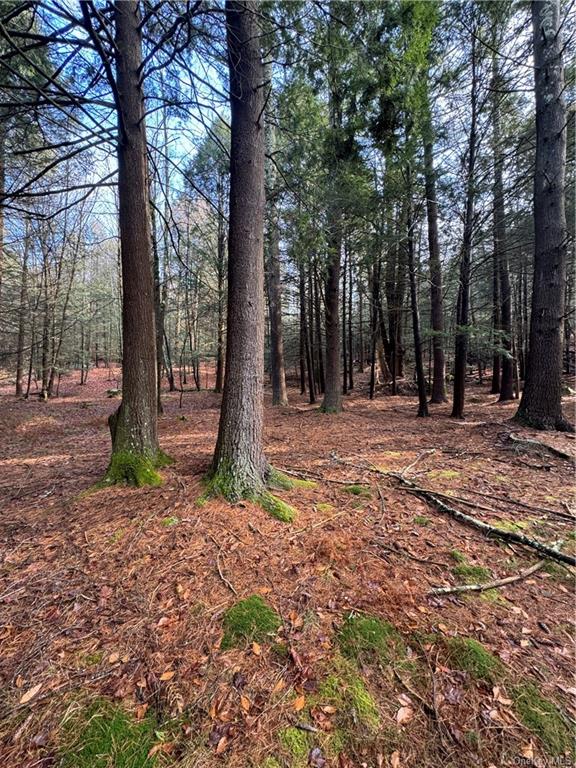 Land Tbd Clark Road Tr 21  Sullivan, NY 12733, MLS-H6280144-8