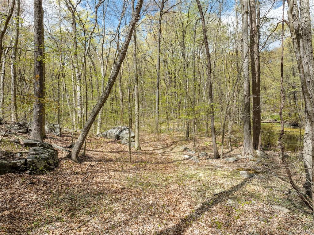 Land Creemer  Westchester, NY 10504, MLS-H6251162-8