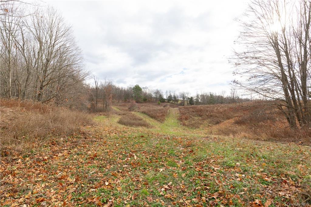 Land Cream  Dutchess, NY 12601, MLS-H6256190-8