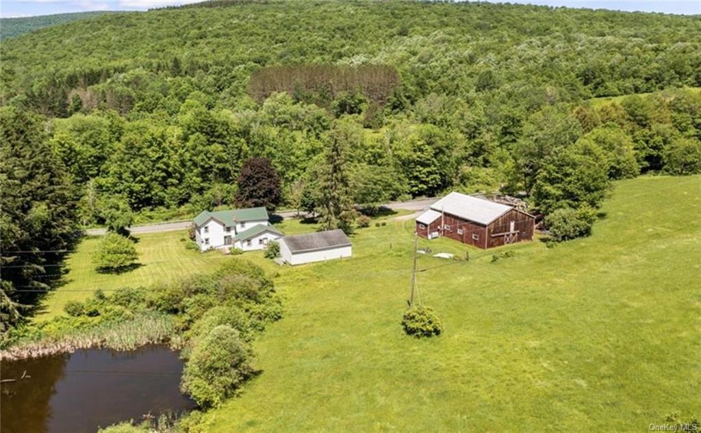 Single Family Beaverkill  Ulster, NY 12758, MLS-H6247198-8