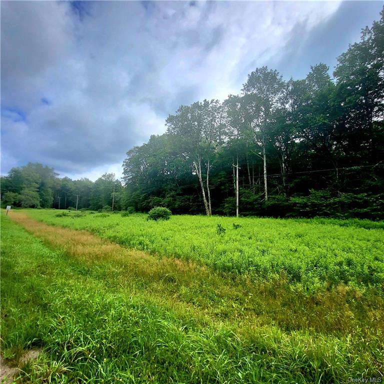 Land Schumway  Sullivan, NY 12765, MLS-H6262218-8