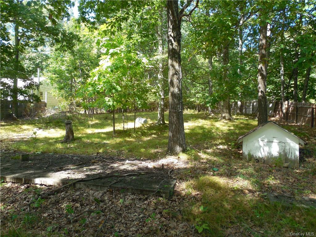 Land Shawanga Lodge  Sullivan, NY 12721, MLS-H6215260-8