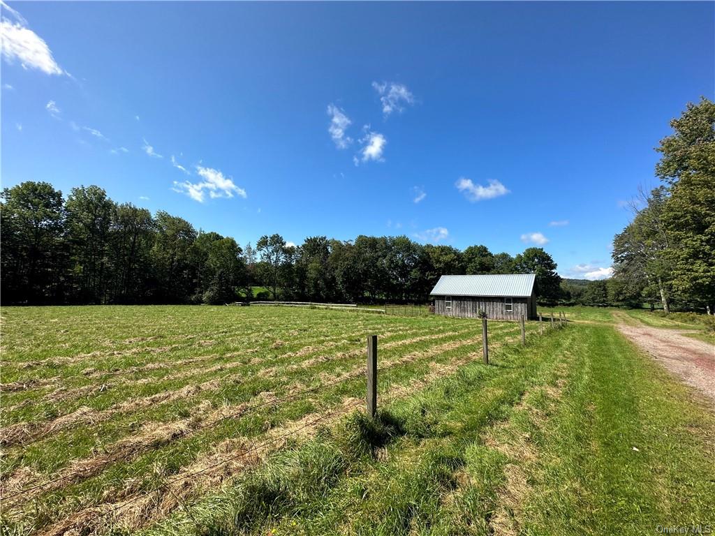 Land Menges  Sullivan, NY 12791, MLS-H6268308-8