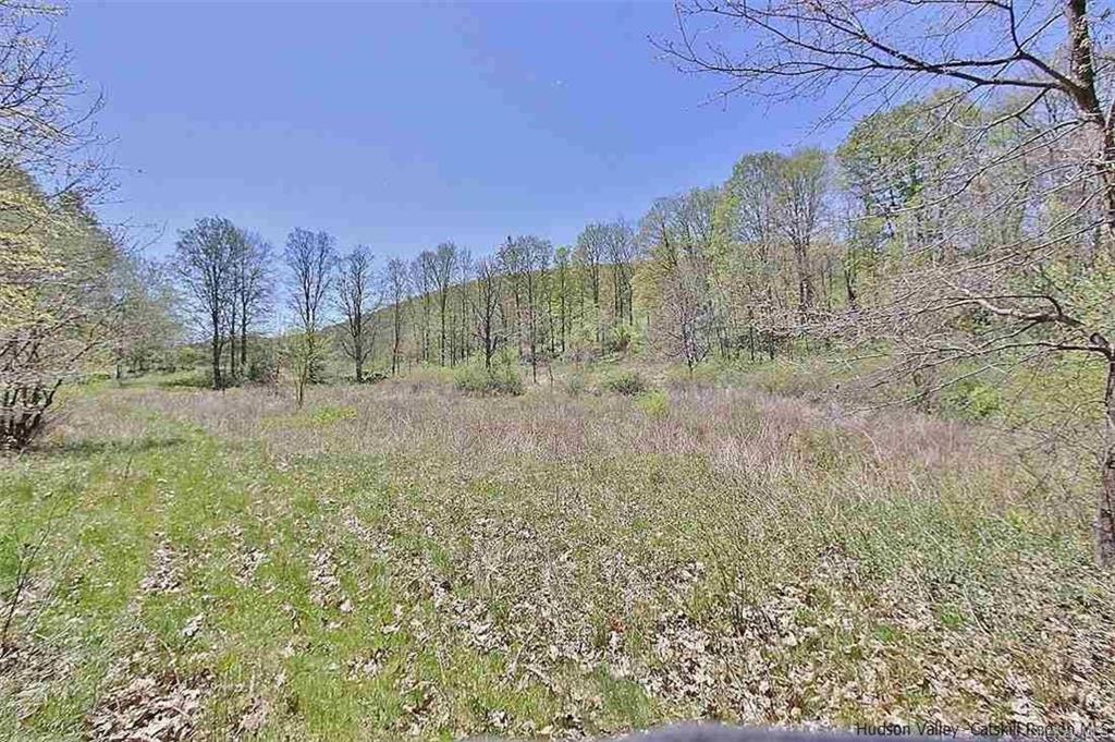 Land Esopus  Ulster, NY 12487, MLS-H6273308-8