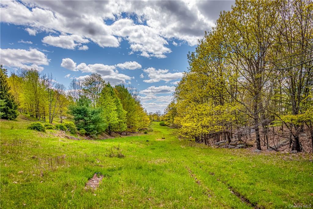 Land Gully  Ulster, NY 12420, MLS-H6249329-8