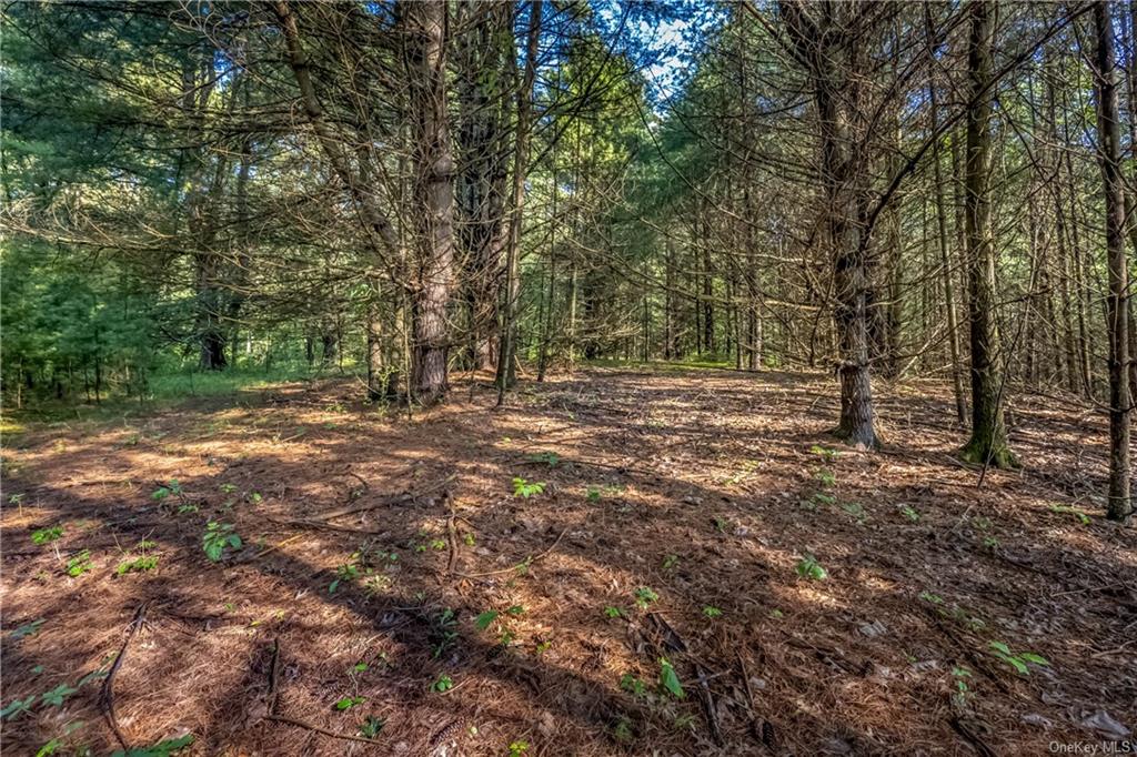 Land Route 209  Ulster, NY 12428, MLS-H6262369-8