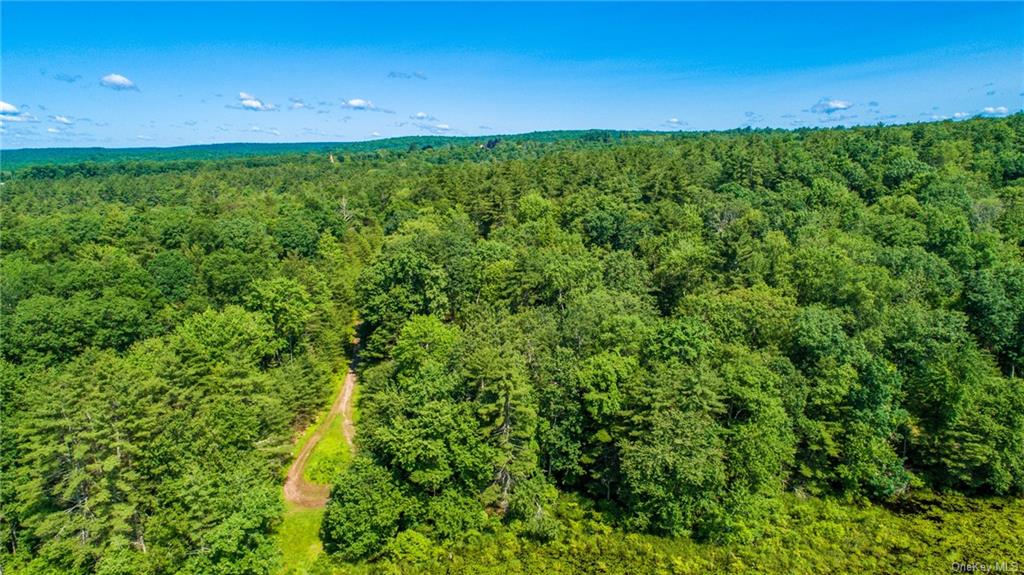 Land Taras Shevchenko Rd/elle  Sullivan, NY 12737, MLS-H6228378-8