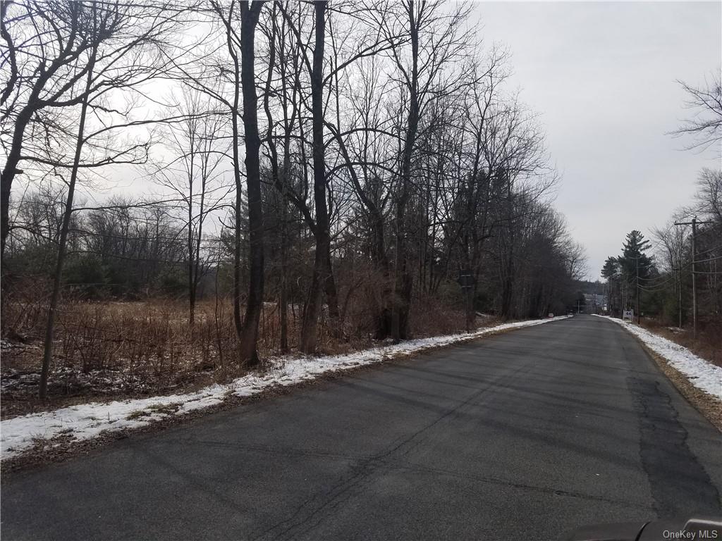 Land Lanahan  Sullivan, NY 12701, MLS-H6239382-8