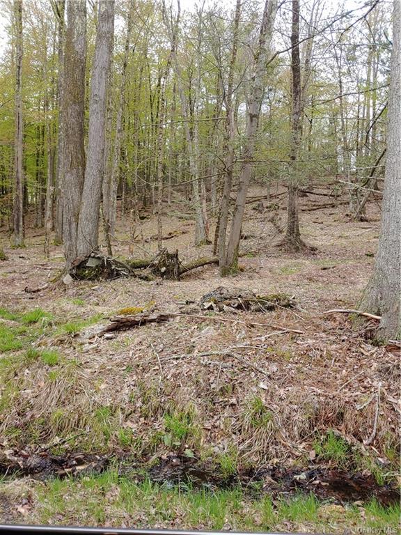 Land Mountain Top  Sullivan, NY 12790, MLS-H6247405-8