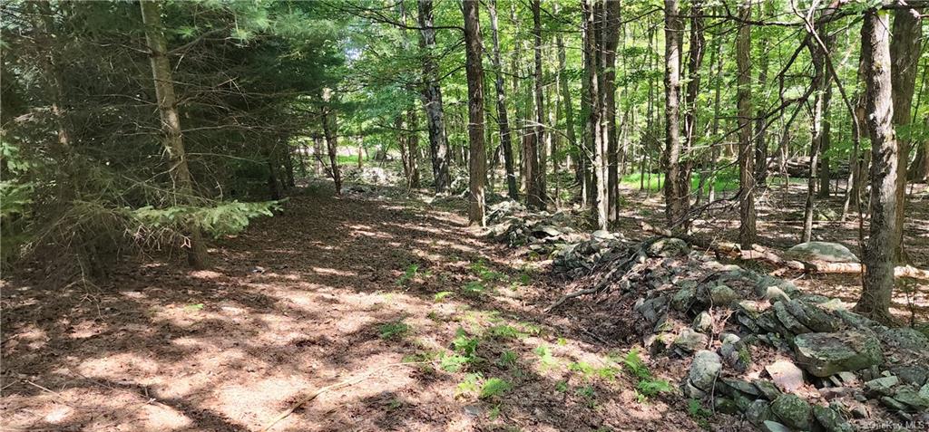 Land Katrina Falls  Sullivan, NY 12775, MLS-H6267421-8