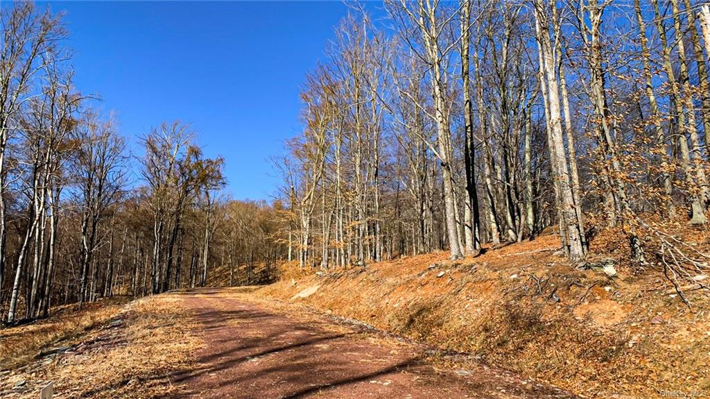 Land Red Rock  Ulster, NY 12489, MLS-H6259428-8