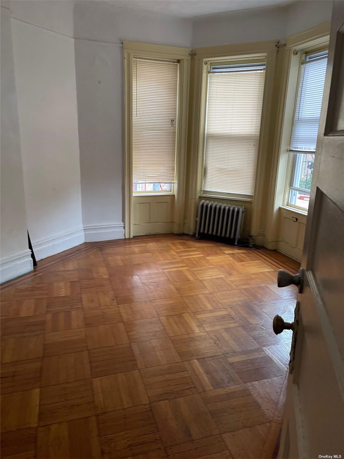 Two Family Lenox  Brooklyn, NY 11225, MLS-3480436-8