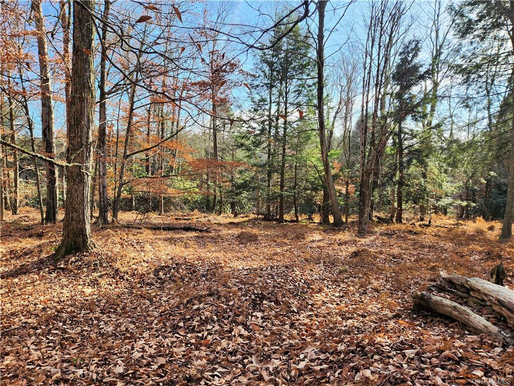 Land Hurd And Parks  Sullivan, NY 12720, MLS-H6219453-8